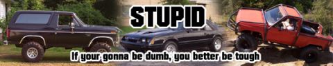 1996 Ford Bronco - A 1996 Ford Bronco, a black Mustang, and a red pickup truck are shown together with text overlay.