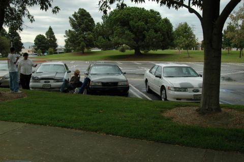 1991 Ford Taurus - A white 1991 Ford Taurus is parked next to a tree, with other vehicles and people nearby.