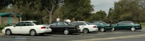 1991 Ford Taurus - Several sedans, including a 1991 Ford Taurus, are parked in a lot near trees and a building.