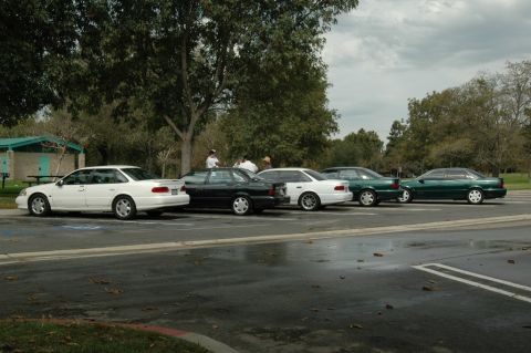 1991 Ford Taurus - A line of sedans are parked side-by-side in a parking lot under a cloudy sky.