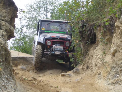 1990 Ford Bronco - This vintage Toyota Land Cruiser navigates a challenging off-road course, marked as a 'Wildlife Release Vehicle'.