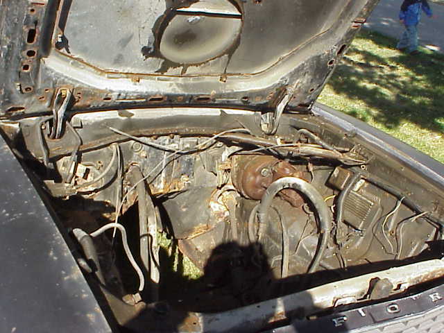 Engine bay with visible rust and hoses
