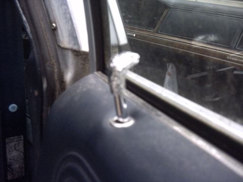 1991 Ford Crown Victoria LTD - Interior door panel detail with wood grain trim visible through the window.