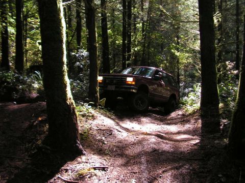 1991 Ford Explorer - A red SUV navigates a wooded trail, with sunlight dappling the path ahead.