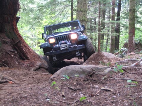 1990 Ford Bronco - A Jeep Wrangler tackles a challenging off-road course through a dense forest.