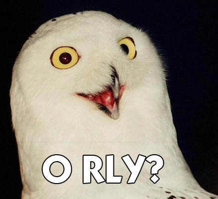 1986 Ford Bronco - Meme a snowy owl with the text 'O RLY?' and a Supermotors.net watermark.