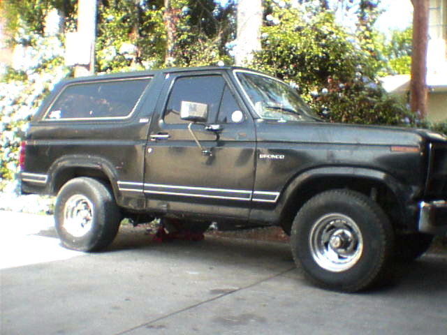 1981 Ford Bronco “The gas guzzler”