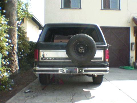 1981 Ford Bronco - This 1981 Ford Bronco is viewed from the rear, its iconic spare tire mount and chrome bumper.