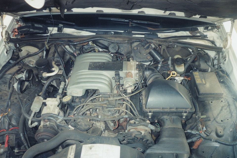 Engine bay of a 1991 Mercury Grand Marquis, showing the V8 engine with silver intake manifold and black air intake box