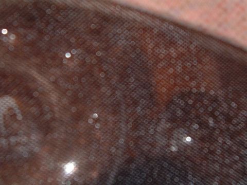 1994 Ford Thunderbird - close up, sorry it's blurry.