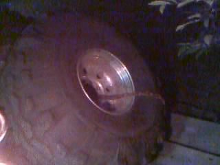 1986 Ford Bronco - A close-up view of a vehicle's tire and wheel, suggesting a part of a larger vehicle.