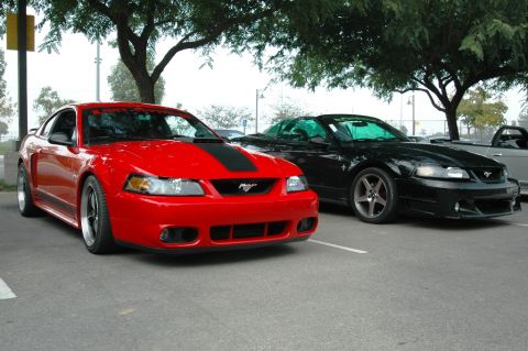 1991 Ford Taurus - Two Ford Mustangs are parked side-by-side under trees.