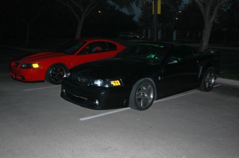 1991 Ford Taurus - Two Ford Mustangs, one black and one red, are parked side-by-side in a lot at night.