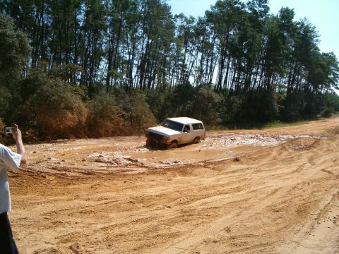 1991 Ford Bronco - A white 1991 Ford Bronco is stuck in a muddy rut on a dirt road surrounded by trees.