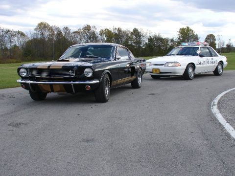 1993 Ford Mustang - It takes one to catch one.