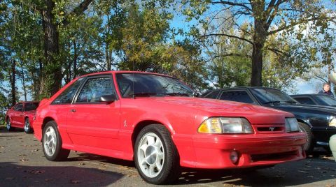 1998 Ford Crown Victoria - A bright red coupe is parked outdoors, with other vehicles visible in the background under a canopy of trees.