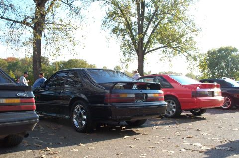 1998 Ford Crown Victoria - Several Ford Mustangs are parked together at an outdoor event.