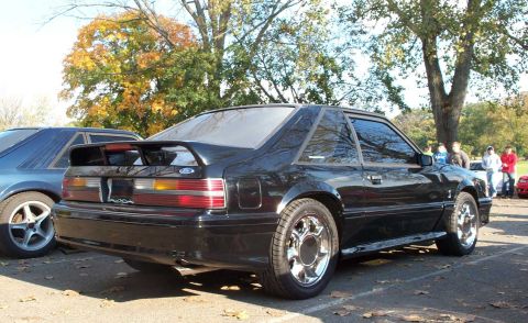 1998 Ford Crown Victoria - A black coupe with a prominent rear spoiler and chrome wheels is parked next to another vehicle.