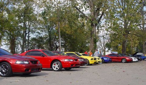 1998 Ford Crown Victoria - Several Ford Mustangs are parked in a lot under trees, with people milling about.
