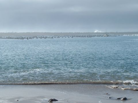 2000 Ford F-250 - A view of an oyster farm with a sailboat on the horizon under a cloudy sky.