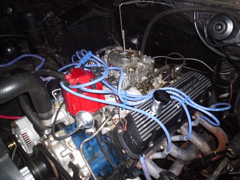 1985 Ford Bronco - Engine bay view of a blue Ford V8 topped with a polished four-barrel carburetor on a white-painted intake, a red distributor cap with blue…