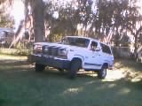 1986 Ford Bronco - This white SUV is parked outdoors on a grassy area with trees and foliage in the background.