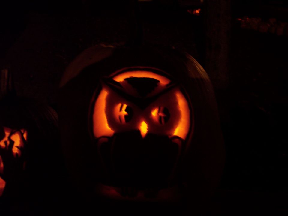 Carved pumpkin with an owl face illuminated from within