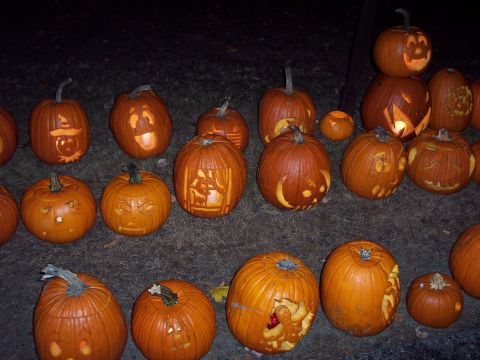 2001 Ford Crown Victoria - A collection of carved pumpkins, illuminated from within, are displayed on the ground at night.