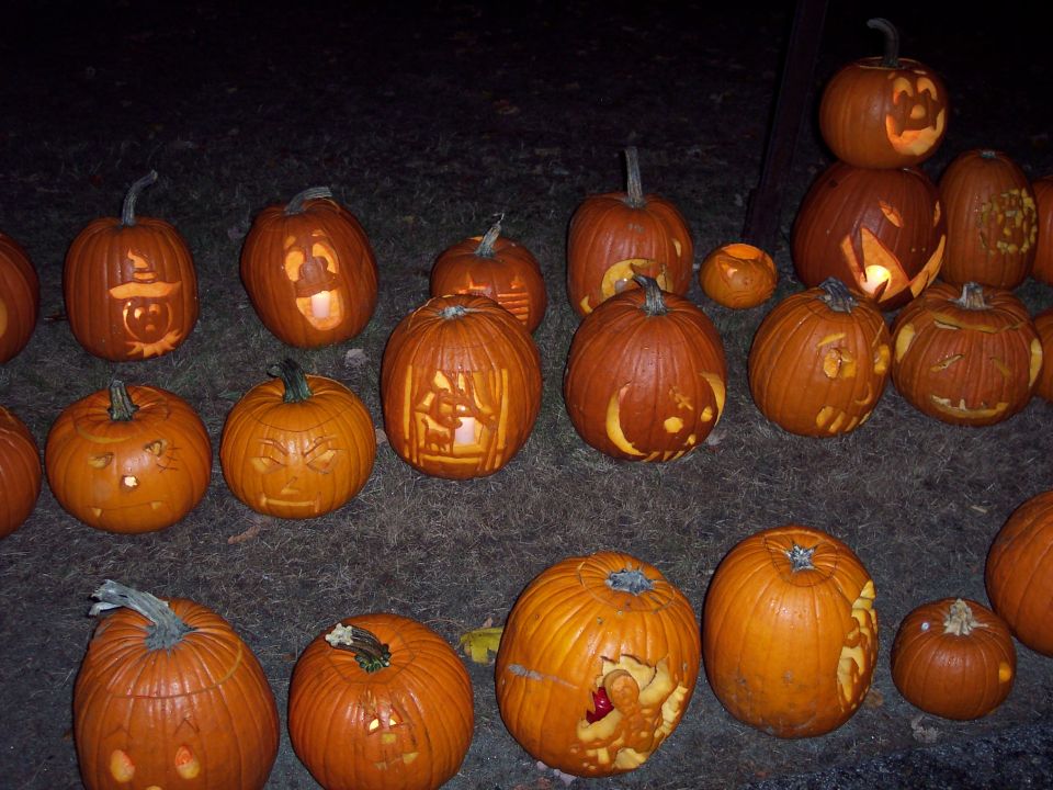 Rows of carved jack-o'-lanterns lit on grass at night