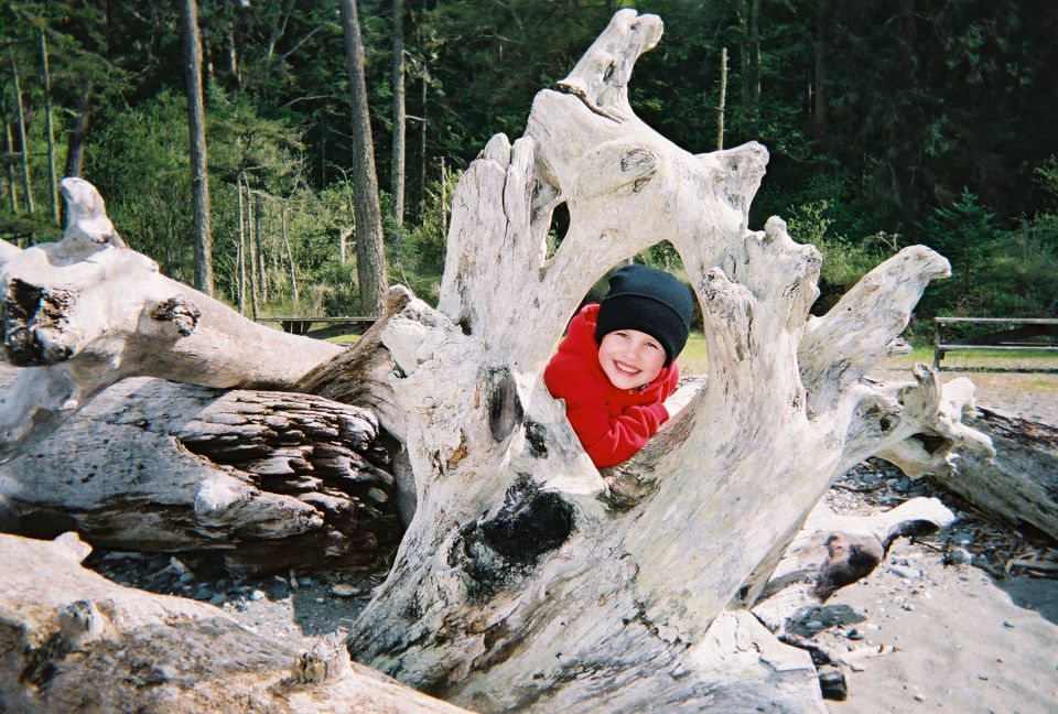 Child peeking from hole in driftwood on a beach