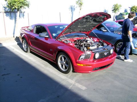 2002 Ford Mustang - Red 2005 Ford Mustang on display with its hood open, revealing the engine bay.
