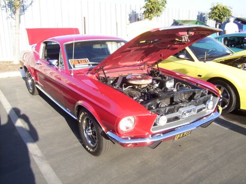 2002 Ford Mustang - A red classic Ford Mustang is displayed with its hood open, parked next to a yellow vehicle.