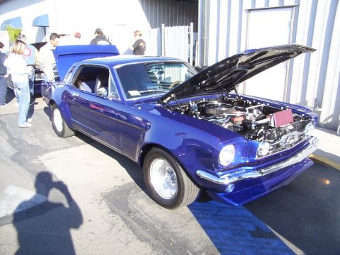 2002 Ford Mustang - A classic blue Ford Mustang is displayed with its hood open, revealing the engine compartment.