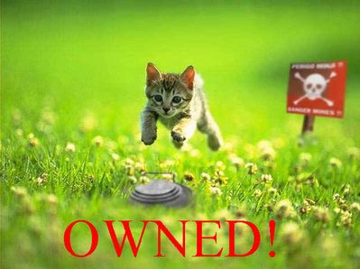 1992 Ford Probe - A kitten leaps over a mine in a field, with a warning sign in the background.