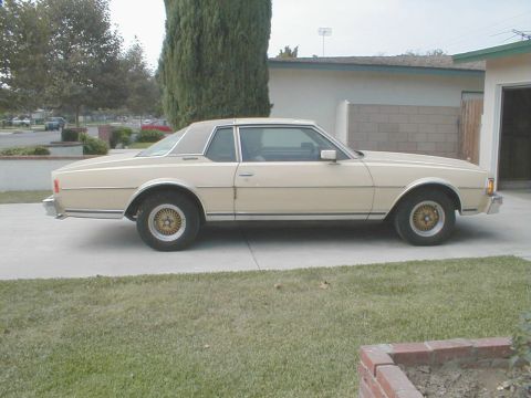 1978 Chevrolet Caprice - Side profile of a tan coupe a vinyl top. The body style suggests a 1977 model year.