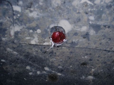 1984 Ford Bronco - A close-up view of a red reflector attached to a gray, textured surface, possibly part of a vehicle's undercarriage.