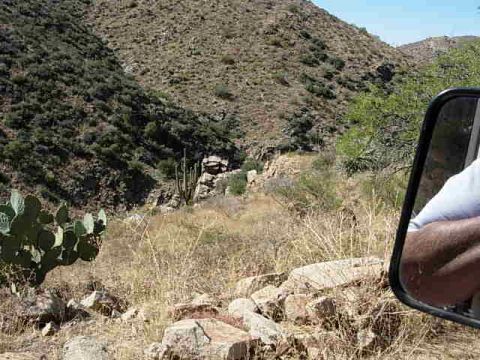 1981 Ford F-150 - View of a desert canyon from a vehicle, with cactus and arid vegetation visible.