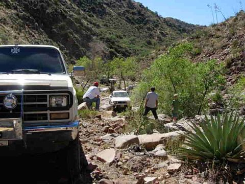 1981 Ford F-150 - Multiple vehicles traverse a , rocky path through a sun-drenched canyon with steep, vegetated slopes.