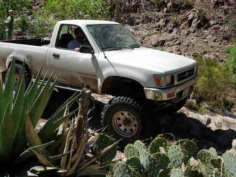 1981 Ford F-150 - A white pickup truck navigates a , rocky trail surrounded by desert vegetation.