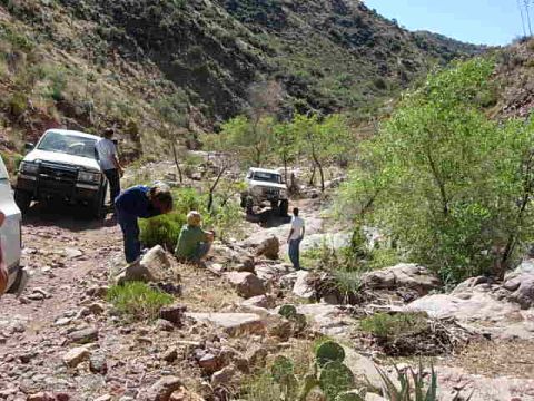 1981 Ford F-150 - Several vehicles navigate a rough, mountainous terrain with sparse vegetation.