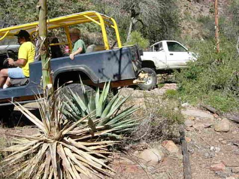 1981 Ford F-150 - Two vehicles navigate a rough, off-road path with dense vegetation.