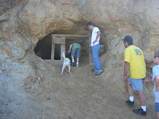 People and a dog stand near a cave entrance with wooden supports