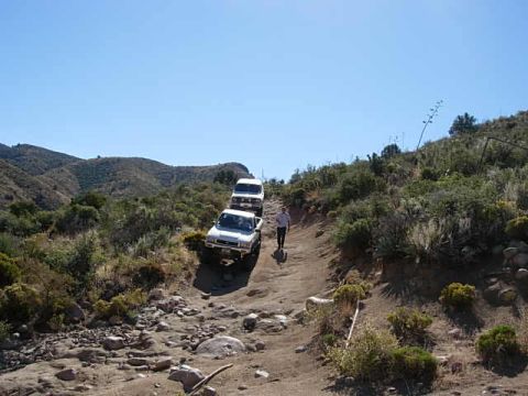 1981 Ford F-150 - Multiple trucks navigate a challenging off-road trail in a hilly, arid landscape.