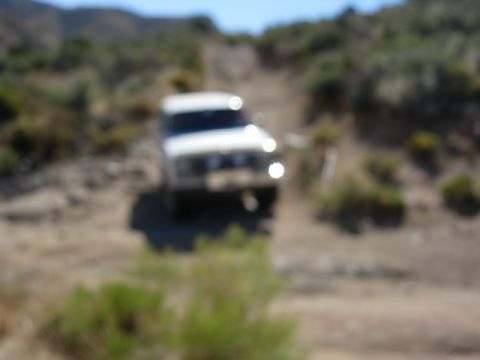 1981 Ford F-150 - A white 1981 Ford F-150 navigates a dusty, off-road trail.