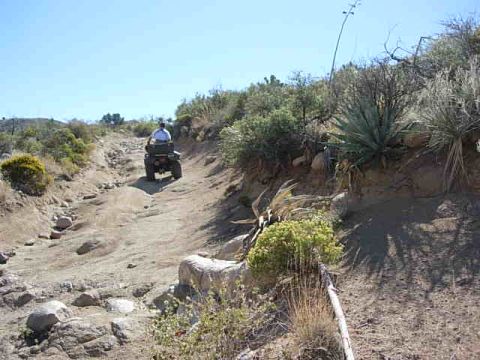 1981 Ford F-150 - An ATV navigates a challenging off-road trail under a clear blue sky.