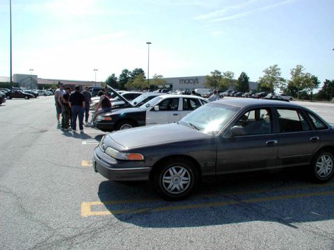 1998 Ford Crown Victoria - A group of people stand around several Ford Crown Victorias parked in a lot, with a Macy's store visible in the distance.