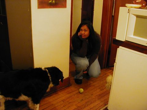 1997 Ford Taurus - A woman and her dog are in a room with a tennis ball on the floor.