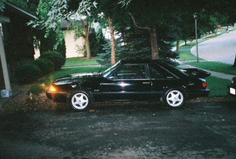 1989 Ford Mustang - 2 weeks after the accident, I found this roller 4 sale!! This was perfect for what was in need for!!