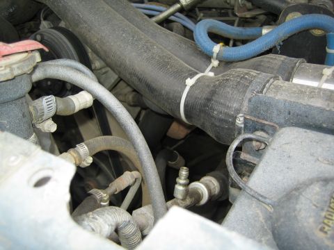 1990 Ford Bronco - Engine bay close-up showing routed black and blue hoses secured with screw clamps and a white zip tie near metal fittings.