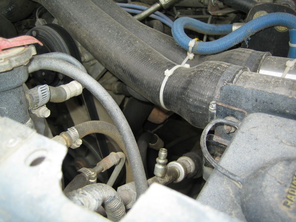 Engine bay with routed black hoses, blue hose, hose clamps and a zip tie